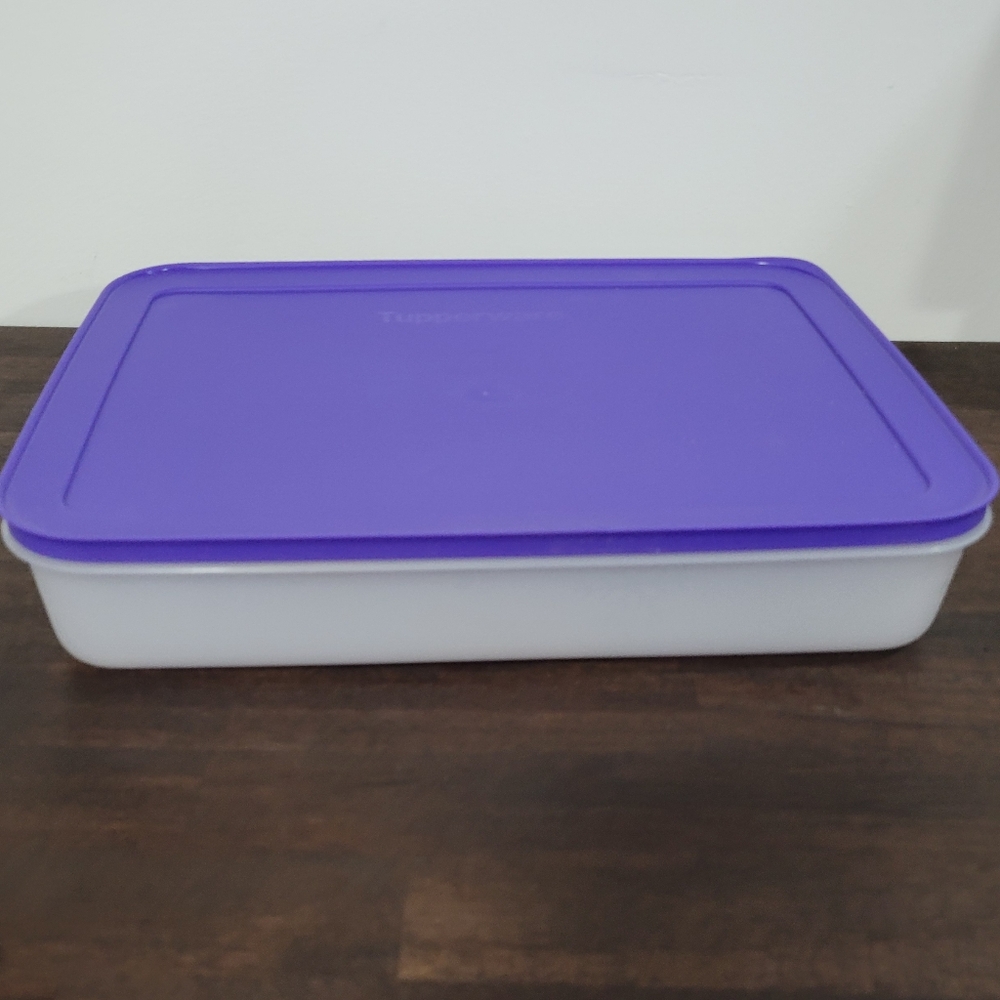 Freezer Mates Plus Large Shallow Container - Picture 2 of 3